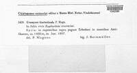Image Associated With the Occurrence